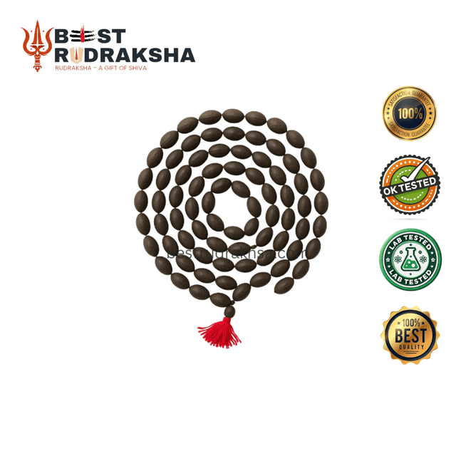 Kamalgatta Mala - Best Rudraksha for Spiritual Clarity